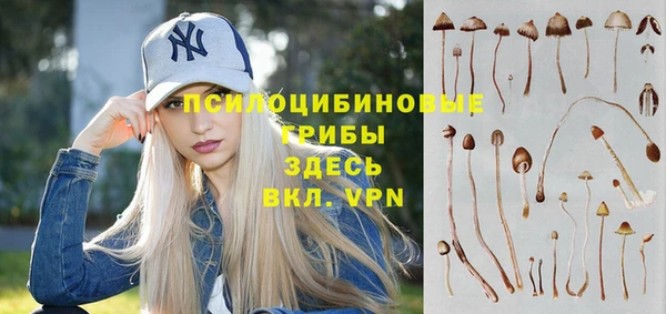 МДПВ Кинешма