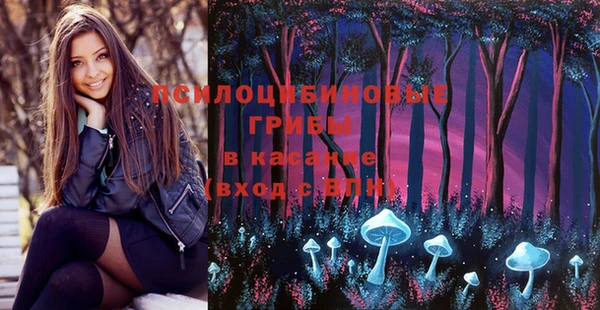 МДПВ Кинешма