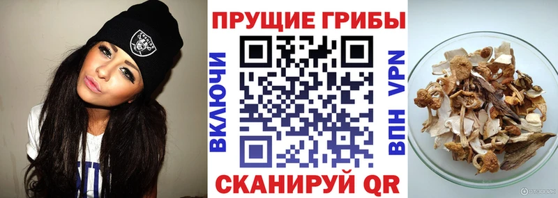 Купить где  Дюртюли  Псилоцибиновые грибы Magic Shrooms 