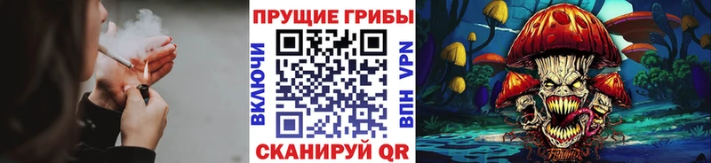 Галлюциногенные грибы Magic Shrooms Дюртюли